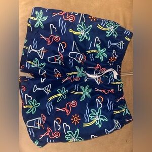 Men’s Chubbies Neon Lights Large No Lining 5.5” Inseam